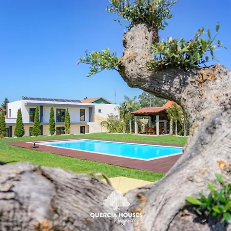 Quercia In *